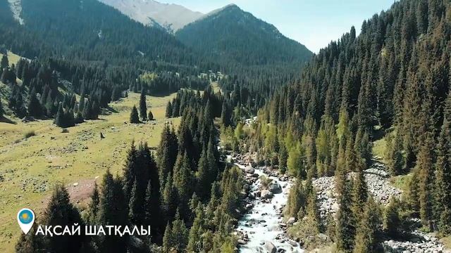 video abai 175 let смотреть онлайн