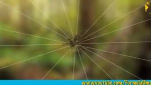 Развивающие мультфильмы для дошкольников