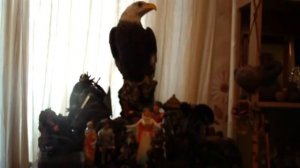 МОЯ НАЦИОНАЛЬНОСТЬ. ВЕДЬМИНА ИЗБА ▶️ ИНГА ХОСРОЕВА