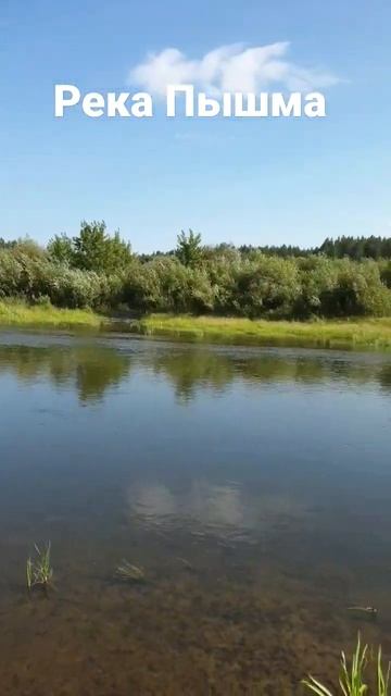 29 августа 2022 г. смотреть онлайн