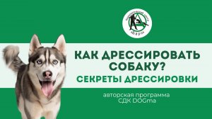 Как дрессировать собаку?