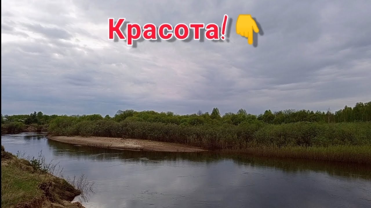 Весенний пейзаж природы ! Река 2023год!