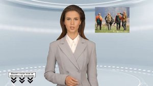 В Орловской области установили сроки охоты на сизого голубя и крякву