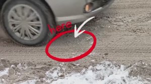 Самая прочная посылка из Замбии?!