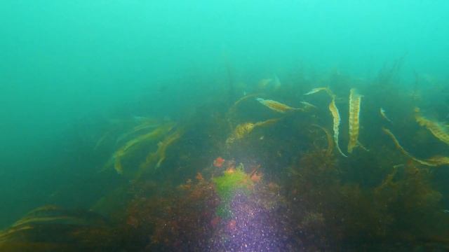 Остромысовка 2019 смотреть онлайн