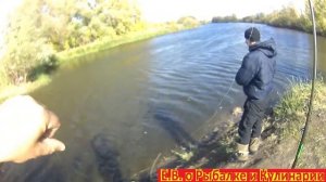 Ловим окуня на перекате.Ловим окуня на спиннинг.Ловим окуня на воблеры. Ловим окуня осенью.