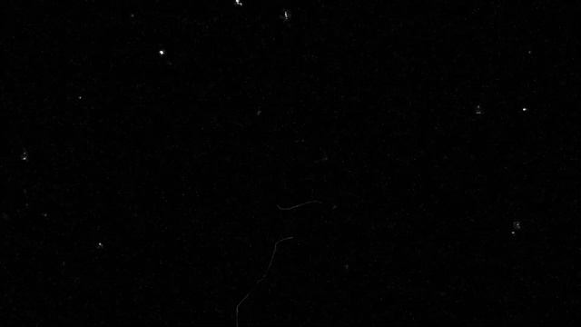 VHS, Old Film, Camera Overlays For Editing смотреть онлайн