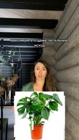 Самое ядовитое растение