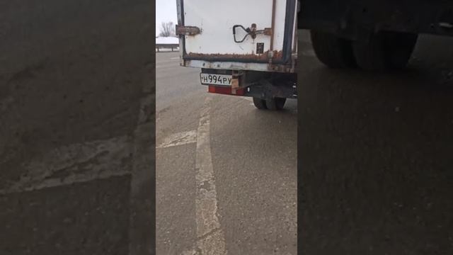 Газель