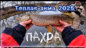 Теплая зима 2025 ! Спиннинг на реке Пахра ! Бодрая раздача !