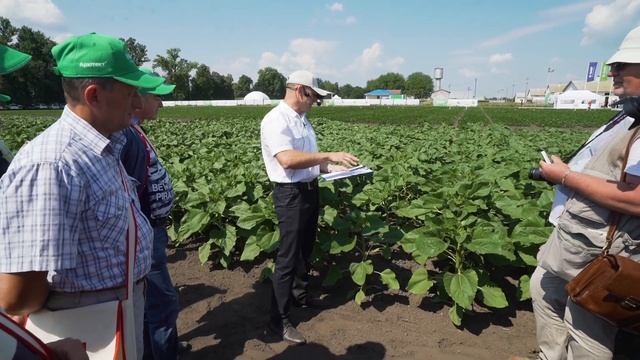 День поля BASF. Будуємо урожай власними руками з Архітект™