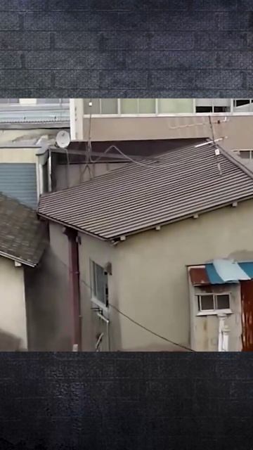 Климатическая катастрофа. Ч-7