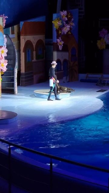 Морской котик танцует под Майкла Джексона #shorts смотреть онлайн