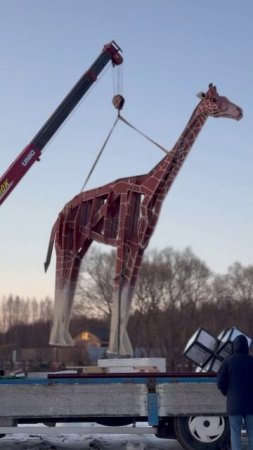 У нас пополнение в #БерегПесочной! 🦒