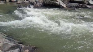 Маленький Алтай Матрица...