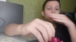 Кратко о горных лыжах