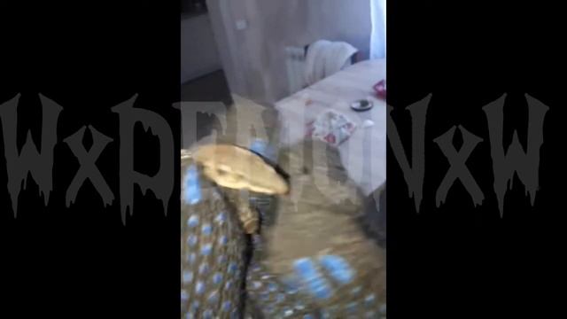 Гусеница бражника танцует под инстасамку смотреть онлайн