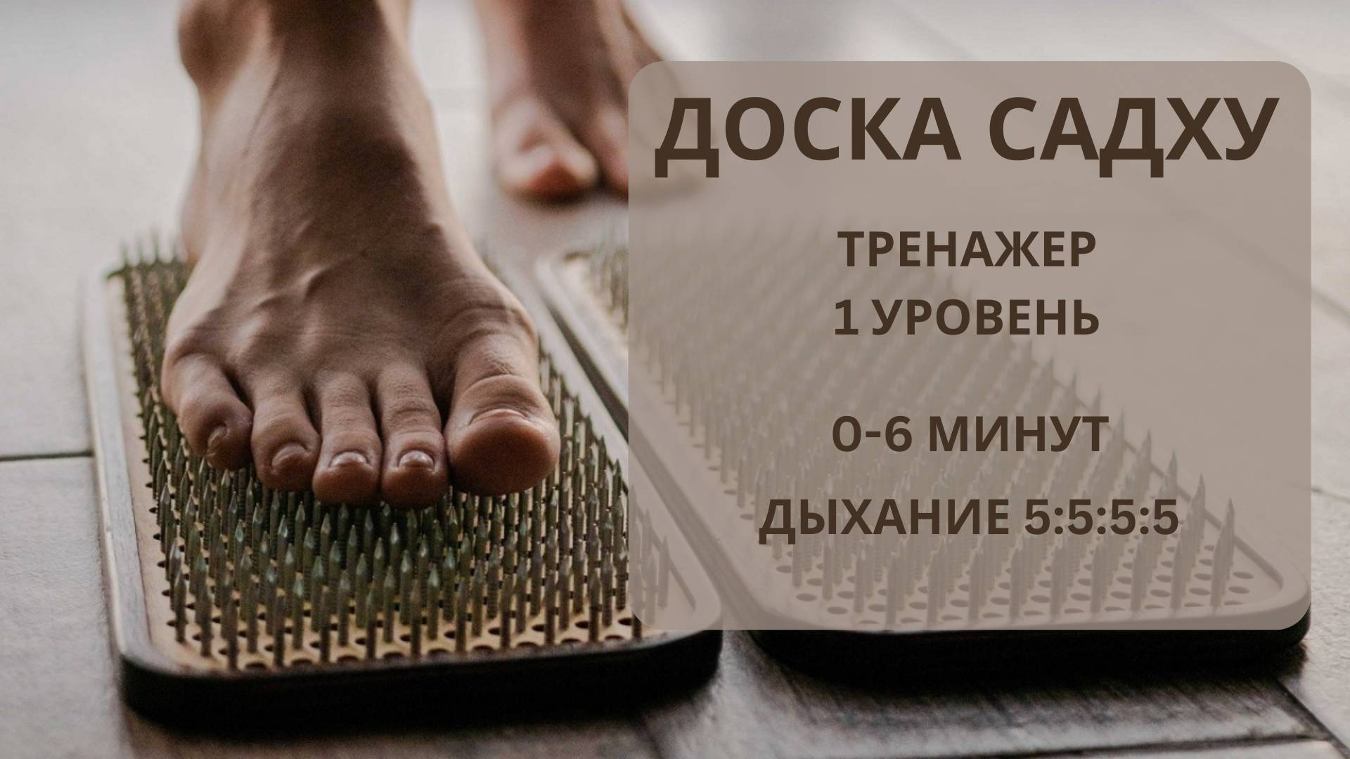 Встать на доску Садху(гвоздестояние). Онлайн-тренажер 1 уровень
