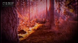 S.T.A.L.K.E.R. НОРА. Фантастика. Мистика. Страшные истории на ночь.