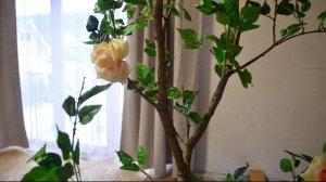 DIY.Искусственное дерево своими руками