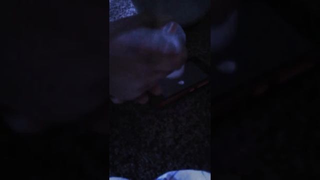 Агата и Маша - лайфхаки смотреть онлайн