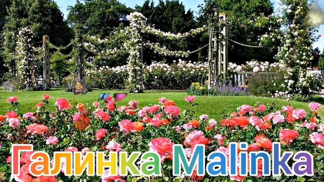 Ольга Уралочка live /Очухалась /Устроила разборки /Обзор Влогов /Уралочка и Сафар /