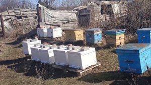 Первый облет 2025года.