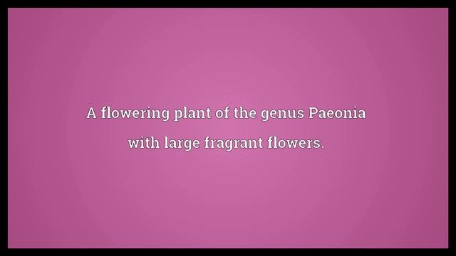 Peony Meaning смотреть онлайн