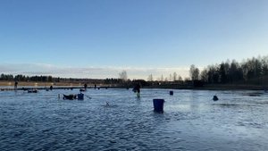 Запустили 35кг форели