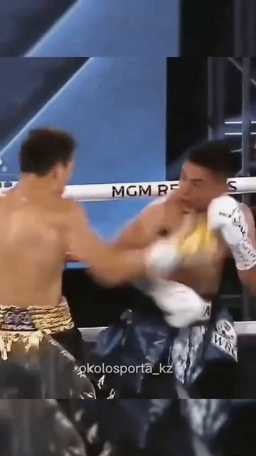Жесткий нокаут Жанибек Алимханулы смотреть онлайн