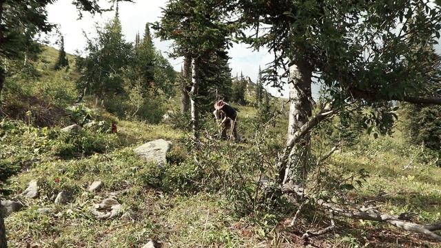Ушёл с Детьми ночевать в горах! смотреть онлайн