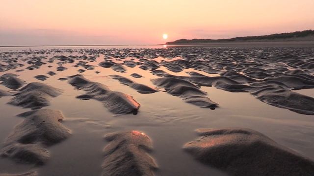 Last of the Summer Sun - DBLM Wildlife смотреть онлайн