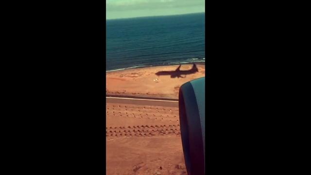 Portamento (Feat. HANNIE) - Neon Lover смотреть онлайн