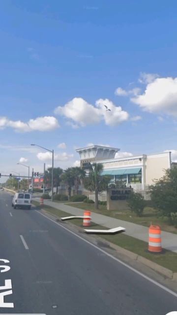 I Found Giant shark is real? on google maps and google earth #Shorts#Viral смотреть онлайн