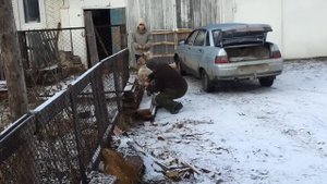 Упаковка козла для транспортировки