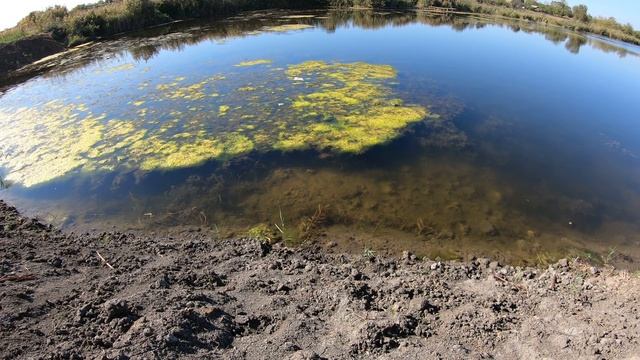 Новоминская | Вот щас так выглядит 9й пруд смотреть онлайн