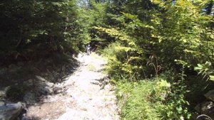 Туапсе-Наджиго-Туапсе