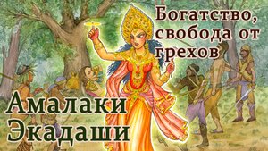 Амалаки Экадаши: 9 или 10 марта 2025. Экадаши, дающий очищение и богатство.