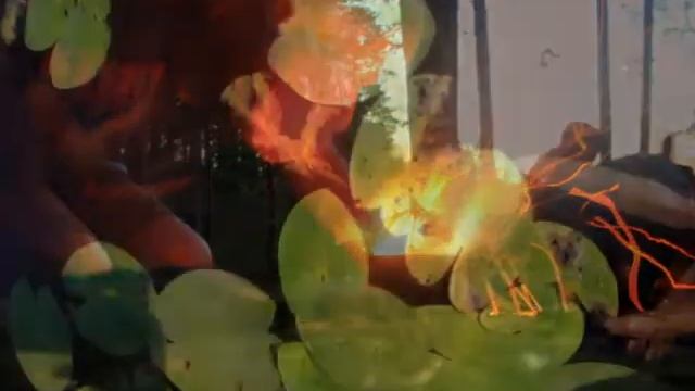 карелломедитацио смотреть онлайн