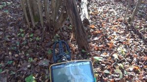 Garrett ACE Apex ЖУТКО ФОНИТ от кабеля связи в лесу / Пробую отстроиться от помех