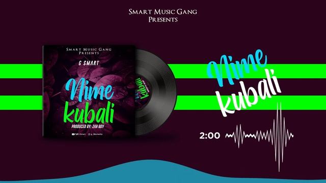 G smart -Nimekubali mp3 (Official Visualizer Audio ) смотреть онлайн