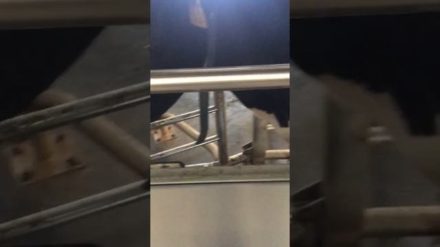 Delaval in Kazakhstan смотреть онлайн