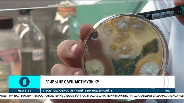Очки всевластия | Помогает ли музыка росту растений? | Шоу дронов в Китае. Технополис