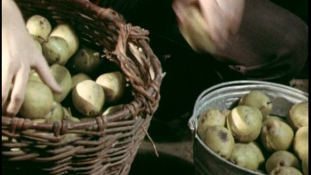 волшебный