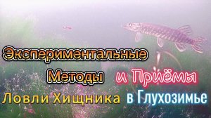 ЭКСПЕРИМЕНТАЛЬНЫЕ ПРИЁМЫ ЛОВЛИ ХИЩНИКА ОКУНЯ ЩУКИ ПРИМЕНЯЯ НЕСТАНДАРТНЫЕ МЕТОДЫ ЗАЛОГ УДАЧНОГО УЛОВА