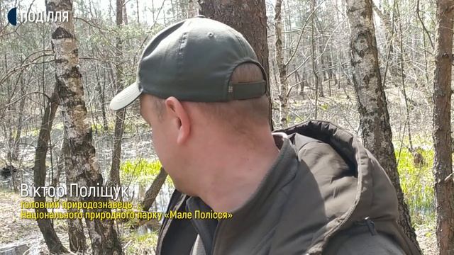 Три нові туристичні маршрути додадуть в екологічну пішохідну стежку «Перлина Славутчини» смотреть онлайн