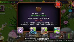 КАК ВЫВЕСТИ РЕДКОГО УСТОЛОСА