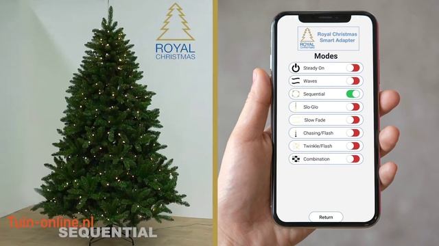 De uitleg van de Royal Christmas smart adapter app voor de kunstkerstbomen met ledverlichting смотреть онлайн