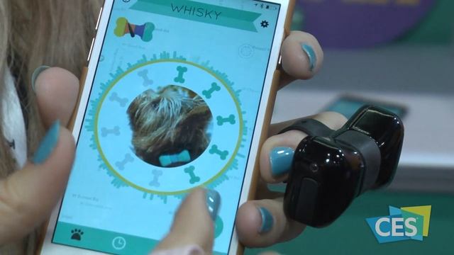 Wearable Tech
