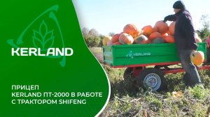 🔥 Прицеп Kerland ПТ-2000  в работе c минитрактором Shifeng SF-244• Обзор